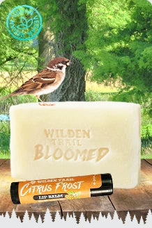 The image shows a small bird perched on top of a bar of soap labeled “Wilden Trail Bloomed.” In front of the soap is a horizontal lip balm tube with the flavor name “Citrus Frost.”