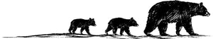 Image of a mother bear and two cubs following her. This area is about Wilden Trail donating to the Animal Welfare Institute. 